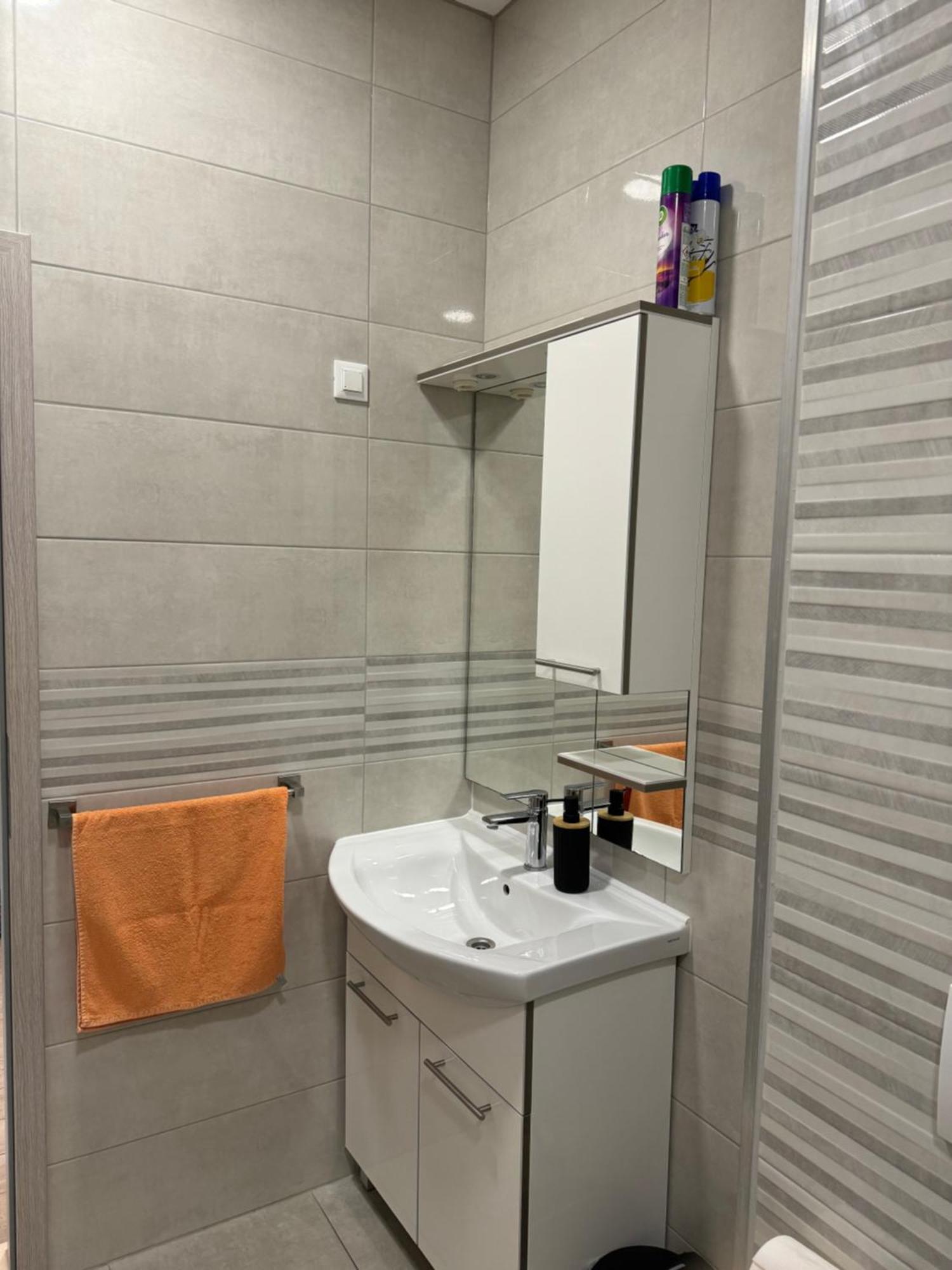 Oki Apartment Gradac  Dış mekan fotoğraf